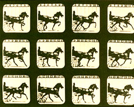 FxF-film-transfers
